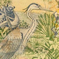 AFRICA USED – Stampboxx