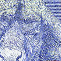 SOUTH AFRICA – Stampboxx