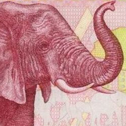 TANZANIA – Stampboxx