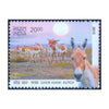 GHOR KHAR WILD ASS OF KUTCH 2013 MNH