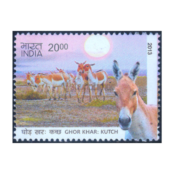 GHOR KHAR WILD ASS OF KUTCH 2013 MNH