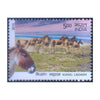 KIANGWILD ASS OF LADAKH 2013 MNH