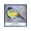 ENDEMIC SPECIES OF INDIAN BIO-DIVERSITY BUGAN LIOCICHLA 2012 MNH