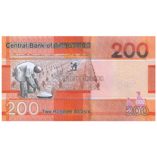 GAMBIA 200 DALASIS 2023 P-42 UNC