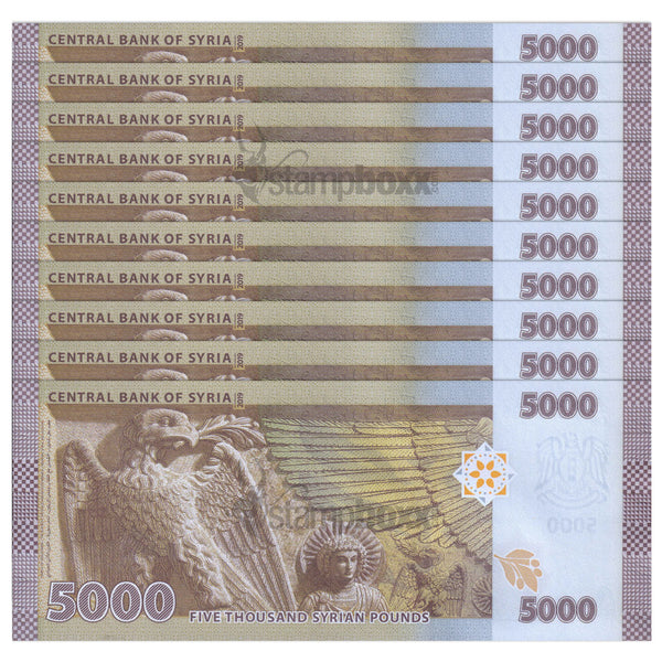 SYRIA 5000 POUNDS 2019 P-118 UNC 1st ISSUE x10Pcs