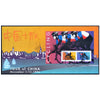 USA TOUR OF CHINA - CYCLING v2 LARGE SIZE FDC