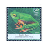 ENDEMIC SPECIES OF INDIAN BIO-DIVERSITY VENATED GLIDING FROG 2012 MNH