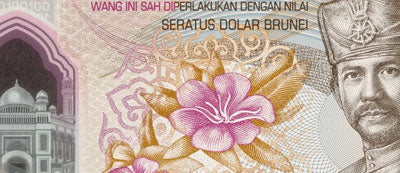 BRUNEI NEW BANKNOTE SERIES