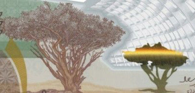 Oman New Commemorative Polymer Banknote