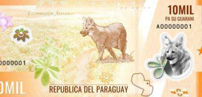 Paraguay Unveils a New Family of Guaraní Banknotes
