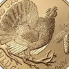 EUROPEAN COIN