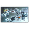 INDIA M/S - HORSES OF INDIA 2009 v4 MNH