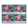 ORCHIDS - CYPRIPEDIUM HIMALAICUM 2016 BLOCK OF 4 MNH