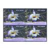 ORCHIDS - DENDROBIUM FALCONERI 2016 BLOCK OF 4 MNH