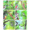 SRI LANKA ENDEMIC BIRDS OF SRI LANKA - SET OF 6 M/S 2021