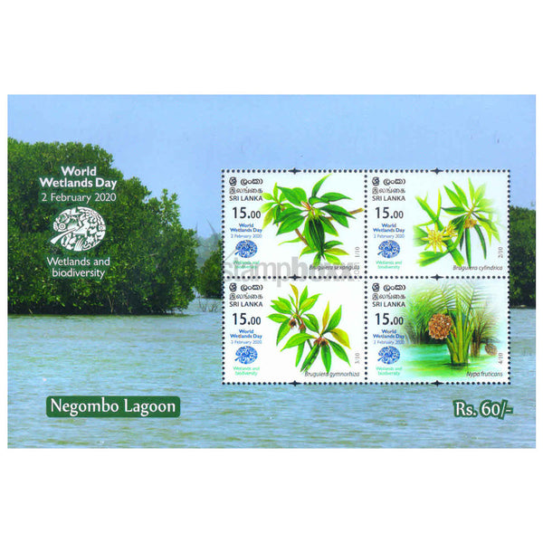 SRI LANKA NEGOMBO LAGOON v4- 2020 M/S