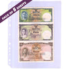 1 Divider - Transparent Banknote Album Refill