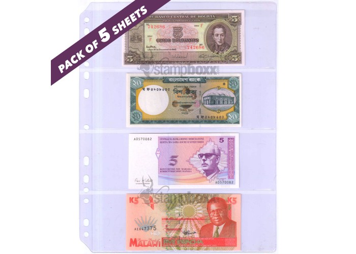 4 Divider - Transparent Banknote Album Refill