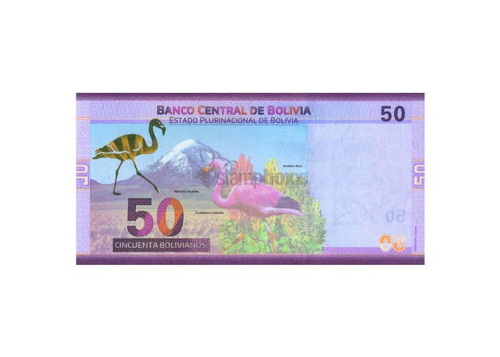 BOLIVIA 50 BOLIVIANOS 2019 P-NEW UNC