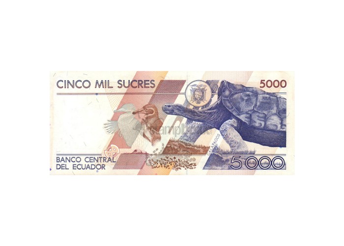 ECUADOR 5000 SUCRES 1999 P-128 UNC